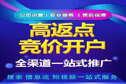 竞价排名广告投放案例